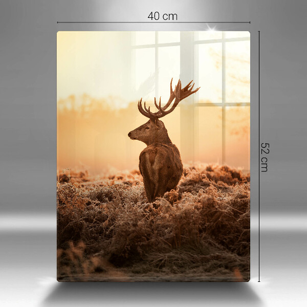 Tábua de corte Veados no campo