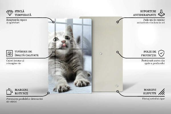 Tábua cozinha Um gatinho fofo