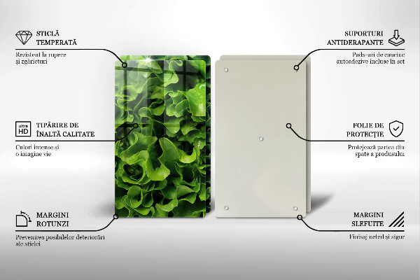 Tábua de cortar de vidro Folhas de alface verde