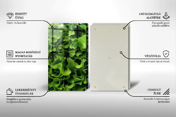 Tábua de cortar de vidro Folhas de alface verde