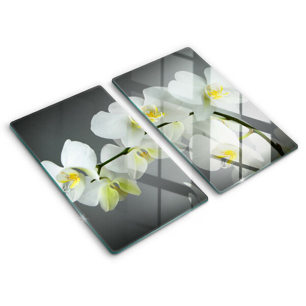 Tábua para corte Flores de orquídea branca