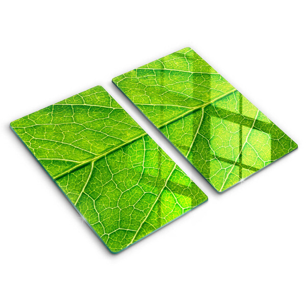 Tábua para corte Natureza das nervuras das folhas