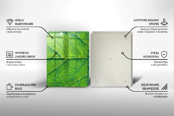 Tábua para corte Natureza das nervuras das folhas