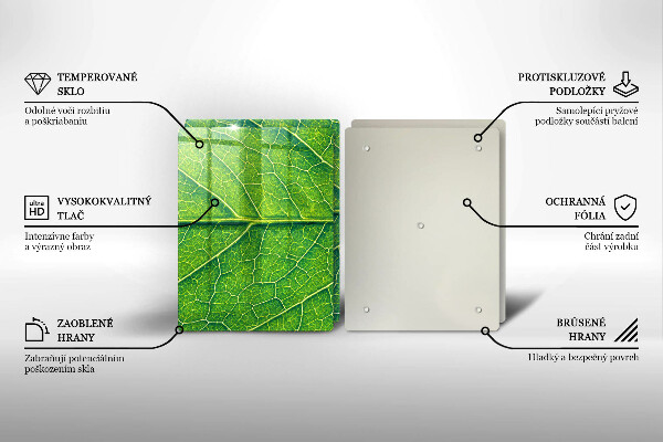 Tábua para corte Natureza das nervuras das folhas