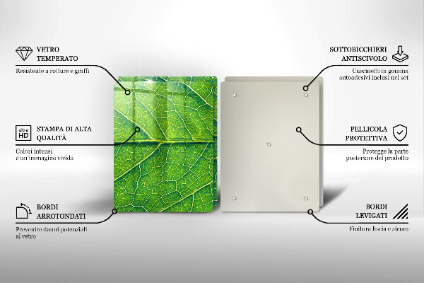 Tábua para corte Natureza das nervuras das folhas