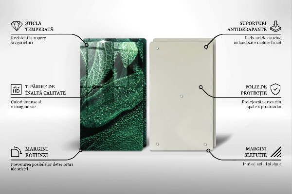 Tábua cozinha As folhas da planta