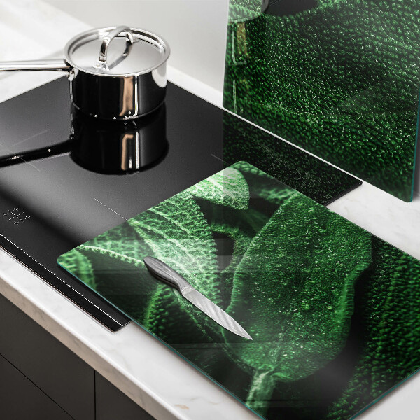 Tábua cozinha As folhas da planta