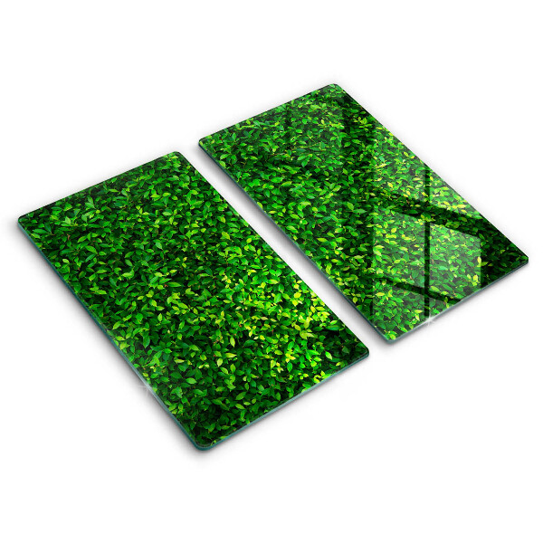 Tábua de corte de vidro Planta com folhas pequenas
