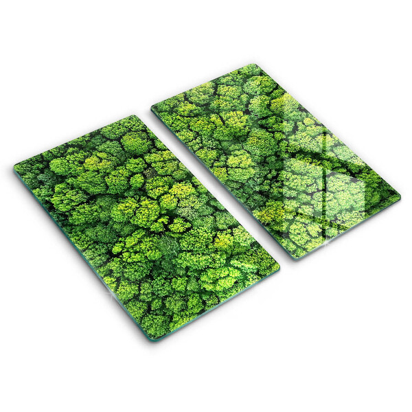 Tábua de cortar de vidro A natureza planta musgo