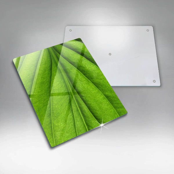 Tábua de corte Natureza das nervuras das folhas