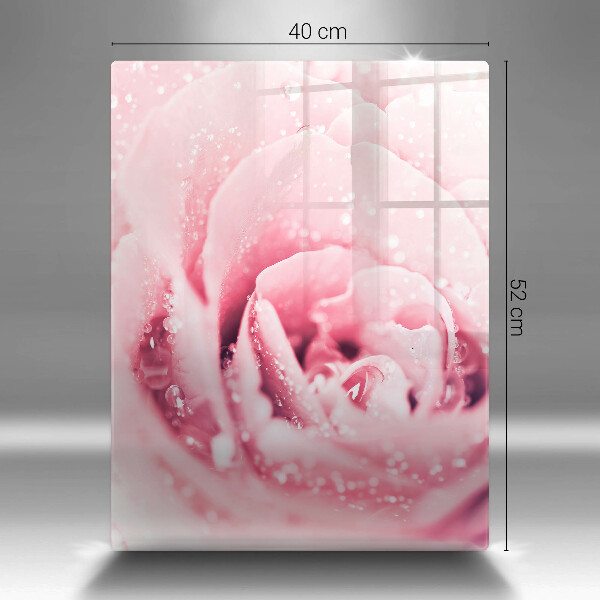 Tábua cozinha Gotas de orvalho e flor de rosa