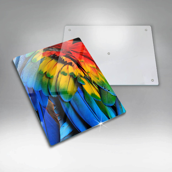 Tábua corte Penas coloridas de papagaio