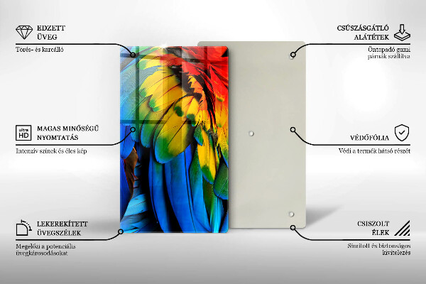 Tábua corte Penas coloridas de papagaio