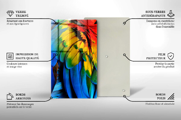 Tábua corte Penas coloridas de papagaio