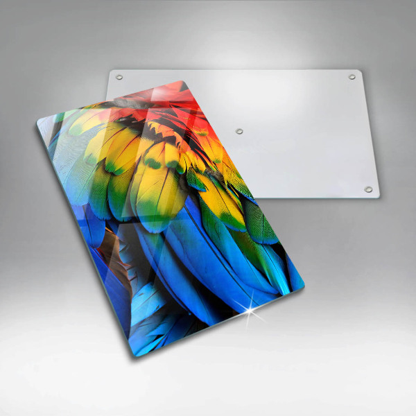 Tábua corte Penas coloridas de papagaio