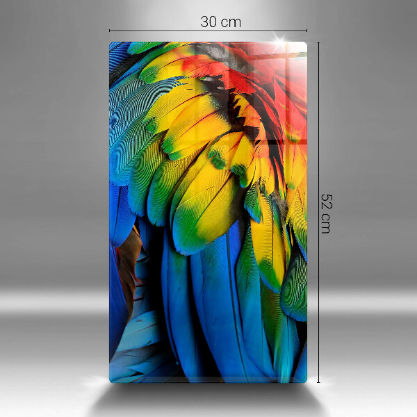 Tábua corte Penas coloridas de papagaio