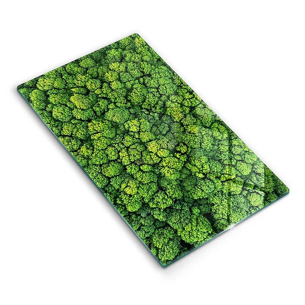 Tábua de corte de vidro com estampa de planta e musgo