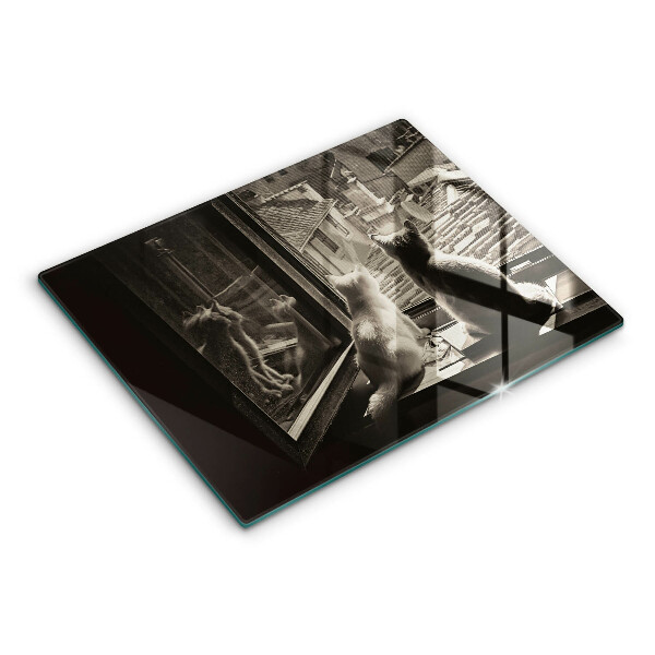 Tábua de corte Cidade dos gatos e janela