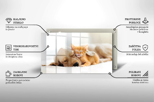 Tábua corte Animais cão e gato