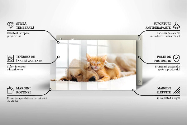 Tábua corte Animais cão e gato