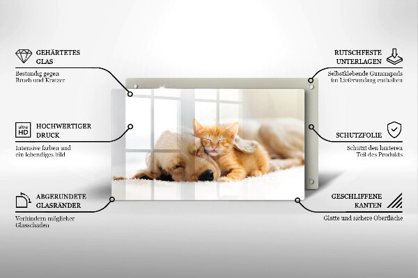 Tábua corte Animais cão e gato