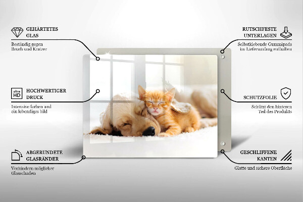 Tábua corte Animais cão e gato