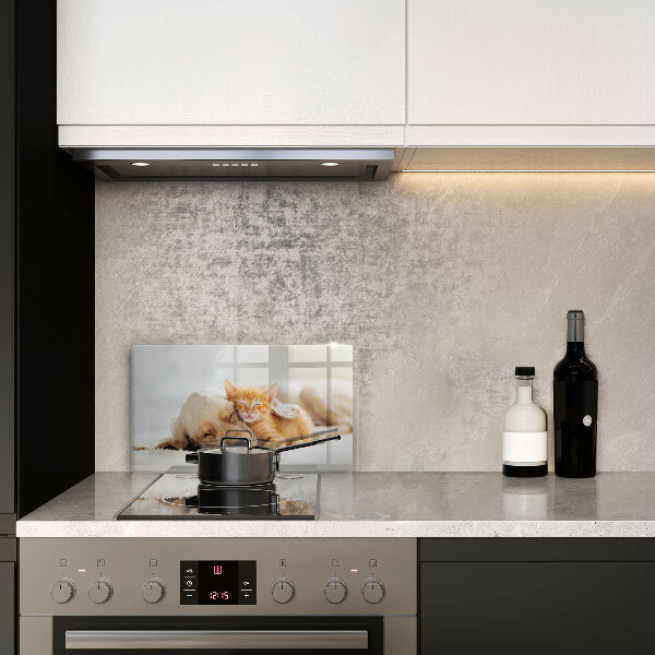 Tábua corte Animais cão e gato