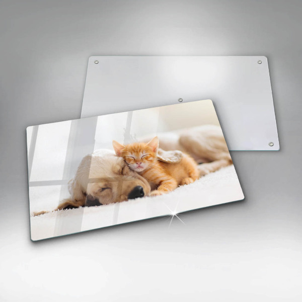 Tábua corte Animais cão e gato