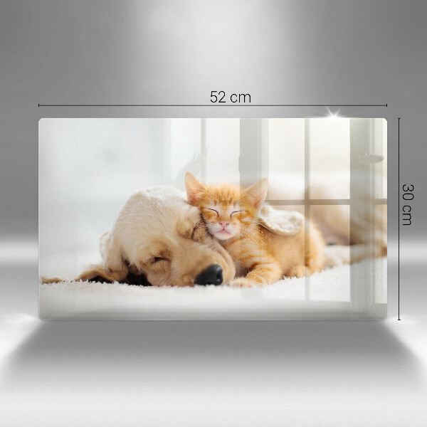 Tábua corte Animais cão e gato