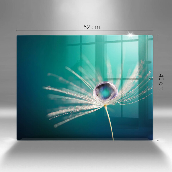 Tábua de cortar de vidro Orvalho em um dente-de-leão