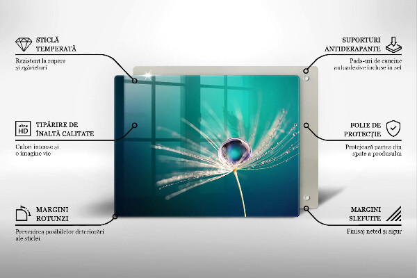 Tábua de cortar de vidro Orvalho em um dente-de-leão