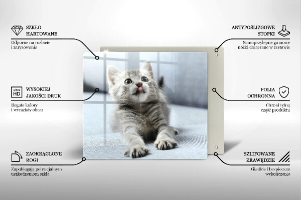 Tábua corte Um gatinho fofo