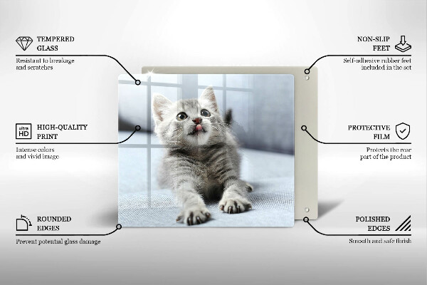 Tábua corte Um gatinho fofo