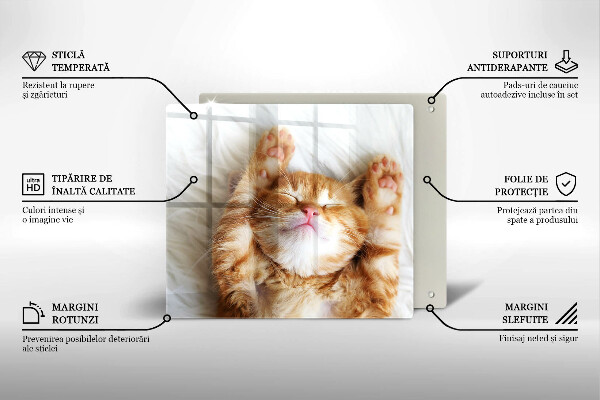 Tábua de cortar alimentos Gatinho doce