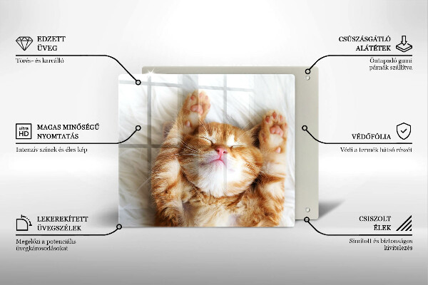 Tábua de cortar alimentos Gatinho doce