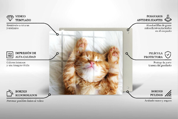 Tábua de cortar alimentos Gatinho doce