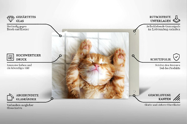 Tábua de cortar alimentos Gatinho doce