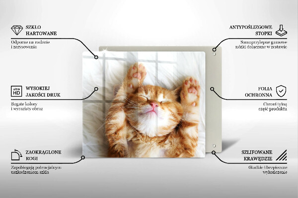 Tábua de cortar alimentos Gatinho doce