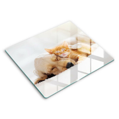 Tábua corte Animais cão e gato