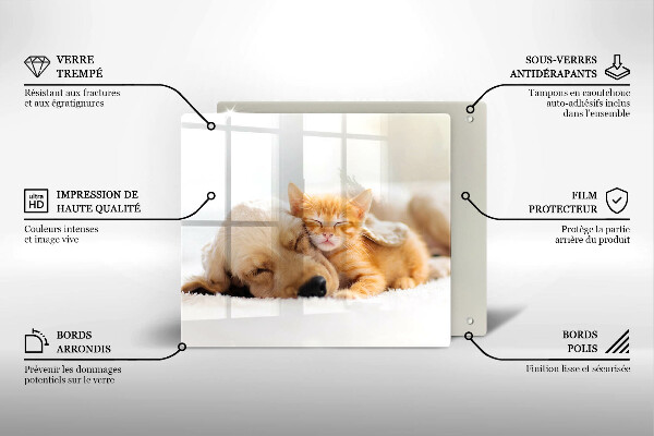 Tábua corte Animais cão e gato