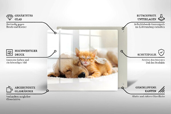 Tábua corte Animais cão e gato