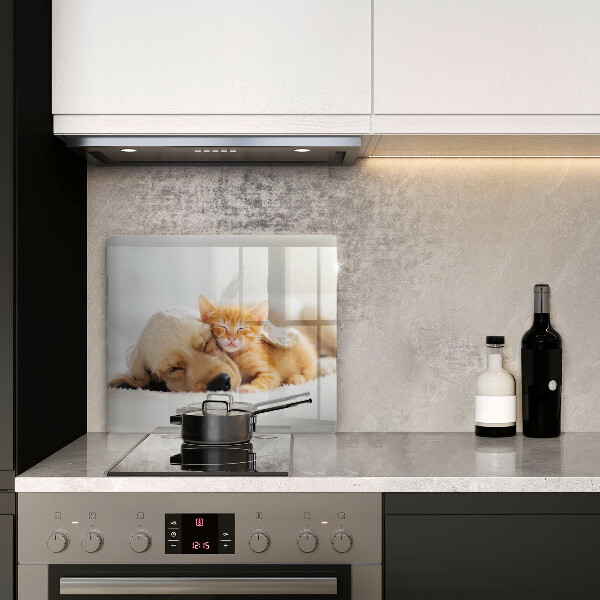 Tábua corte Animais cão e gato