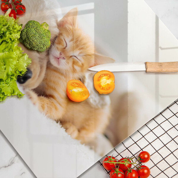 Tábua corte Animais cão e gato