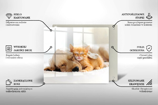 Tábua corte Animais cão e gato