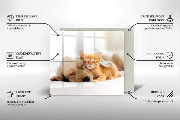 Tábua corte Animais cão e gato