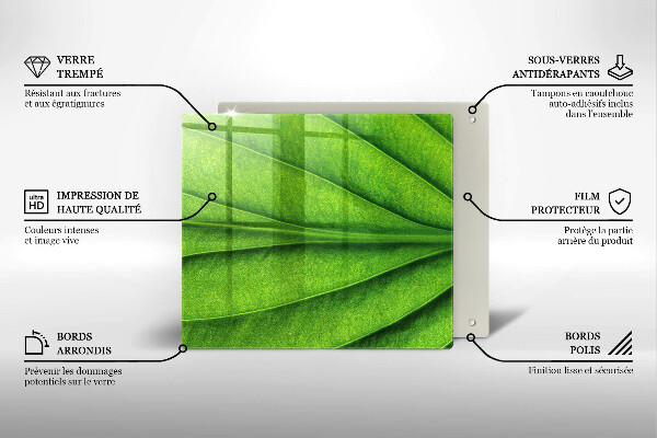 Tábua para cozinha Natureza das nervuras das folhas