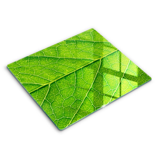 Tábua para corte Natureza das nervuras das folhas