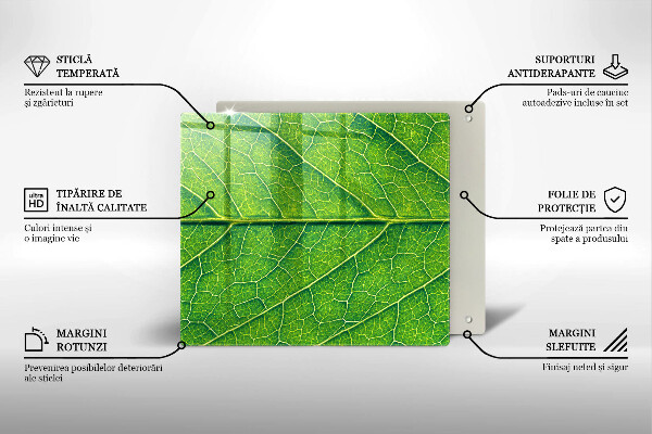 Tábua para corte Natureza das nervuras das folhas