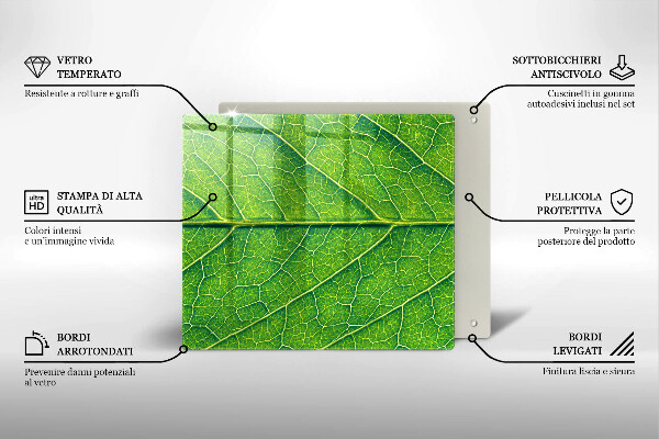 Tábua para corte Natureza das nervuras das folhas