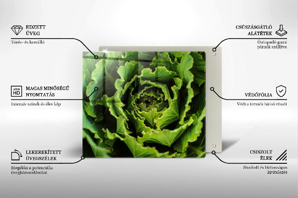 Tábua de cortar alimentos Comer folhas de alface